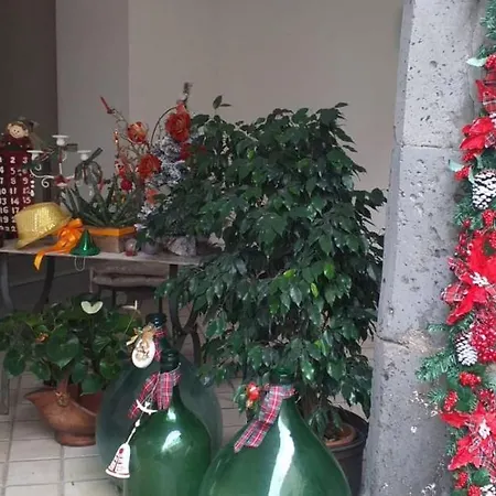 Casa Flavio